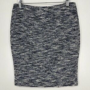 Ann Taylor Textured Skirt Women's Size 6 Blue Cotton Blend Back Zip Lined